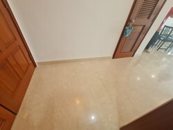 Simsville (D14), Condominium #494403681